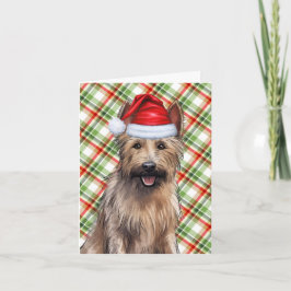 Berger Picard-julgranen Hund Helgdag Play Helgkort