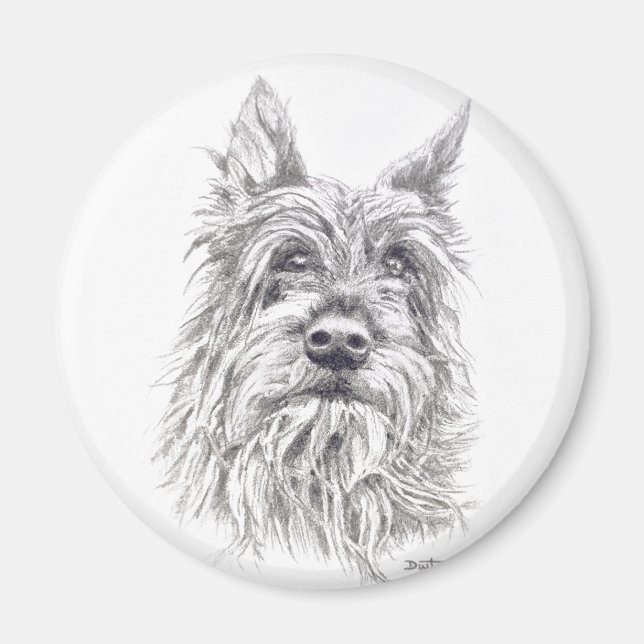 Berger Picard Magnet (Framsidan)