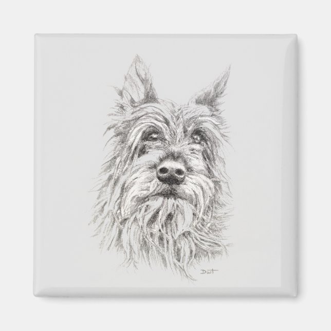 Berger Picard Magnet (Framsidan)