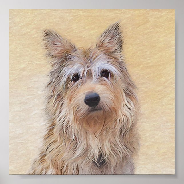 Berger Picard Painting - Cute Original Hund Art Poster (Framsidan)