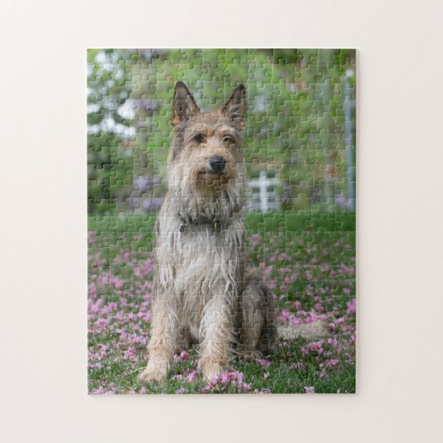 Berger Picard Pussel (Vertikal)