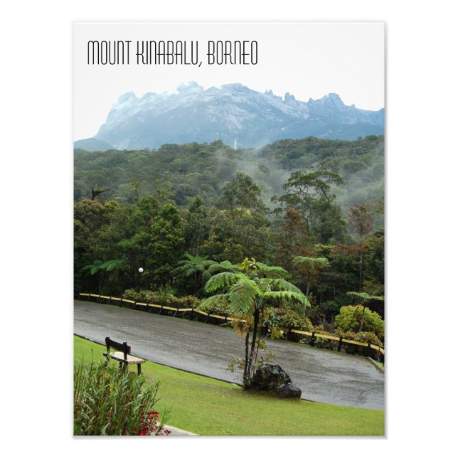 Berget Kinabalu och Jungle Borneo Fototryck (Framsidan)