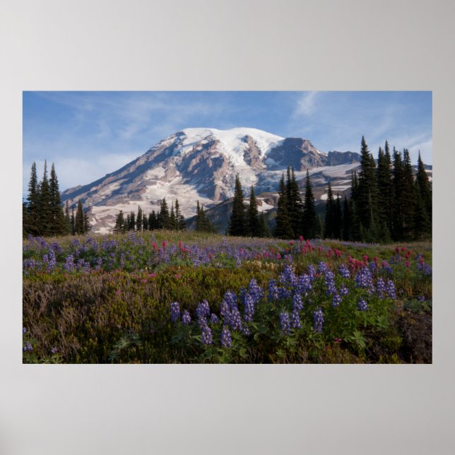 berget Rainier National Park, berget Rainier 3 Poster (Framsidan)