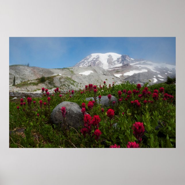 berget Rainier nationalpark, berget Rainier 1 Poster (Framsidan)