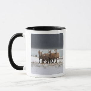 Bergfårfamilj Mugg