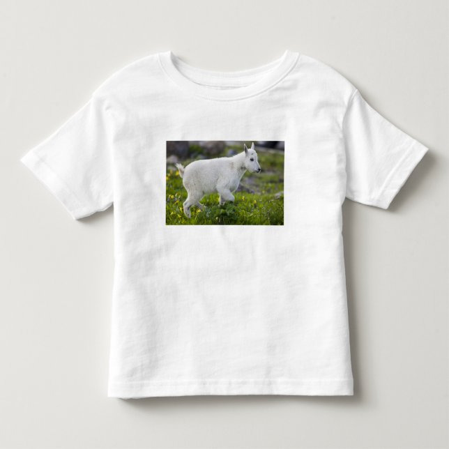 Bergget unge vid Logan Pass i Glacier T-shirt (Framsida)