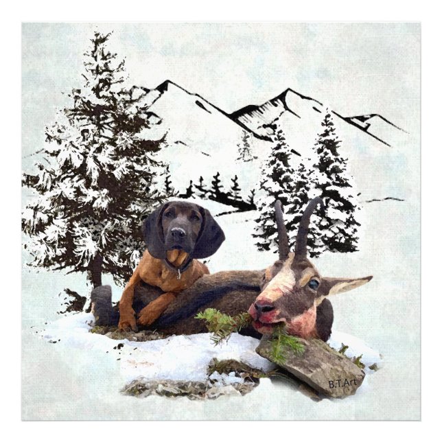 Berggetjakt äventyr fototryck (Framsidan)