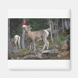 Berggetter med tomten Hats Magnet
