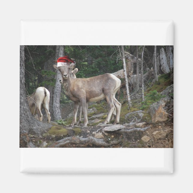 Berggetter med tomten Hats Magnet (Framsidan)