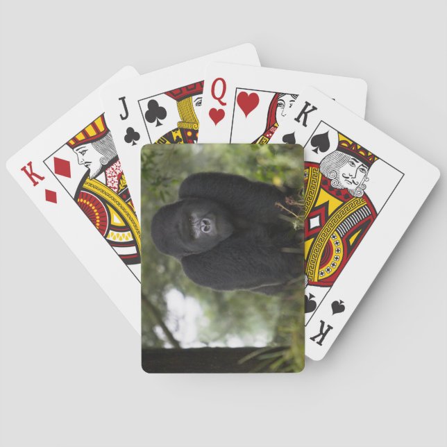 Berggorilla och Silverback 3 Casinokort (Baksidan)