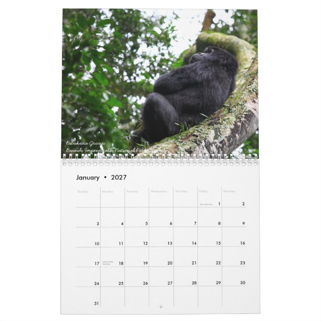Berggorillan. Ingen US-helgdagar Kalender (Jan 2027)