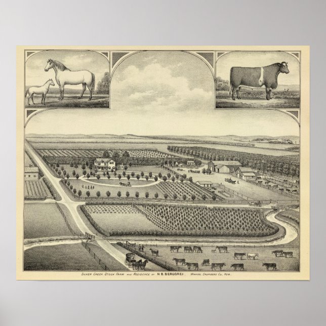 Berggren Farm, Nebraska Poster (Framsidan)