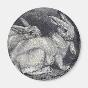 BergHares Magnet