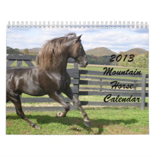 Berghästkalender 2013 kalender