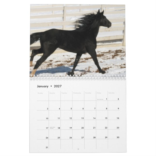 Berghästkalender 2014 kalender (Jan 2027)