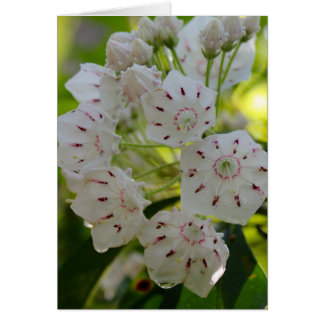 Berglagrar, efter regna hälsningskort