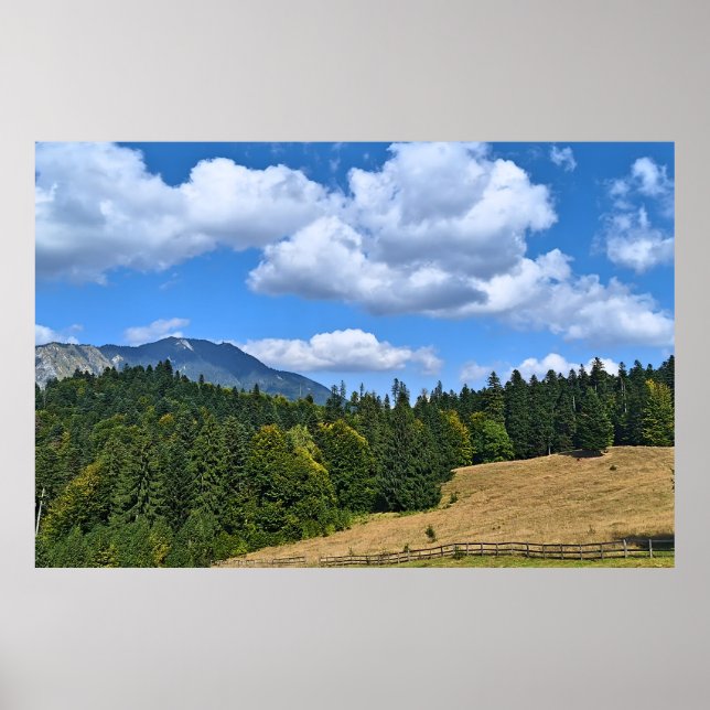 Bergsängslandskap - Vild Natur Rumänien Poster (Framsidan)