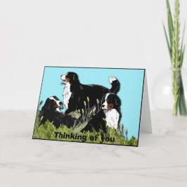 Bergsberget Bernese Hund Kort