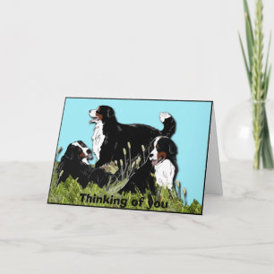 Bergsberget Bernese Hund Kort