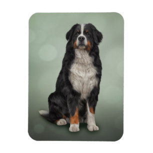 Bergsberget Bernese Hund Magnet