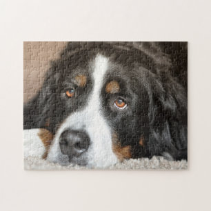 Bergsberget Bernese Hund Pussel