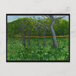 BergSerenityvykort Vykort