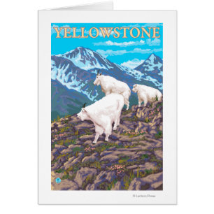 Bergsfårplats - Yellowstone nationalpark Hälsningskort