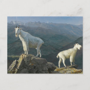 Bergsgetter av Albert Bierstadt Vykort