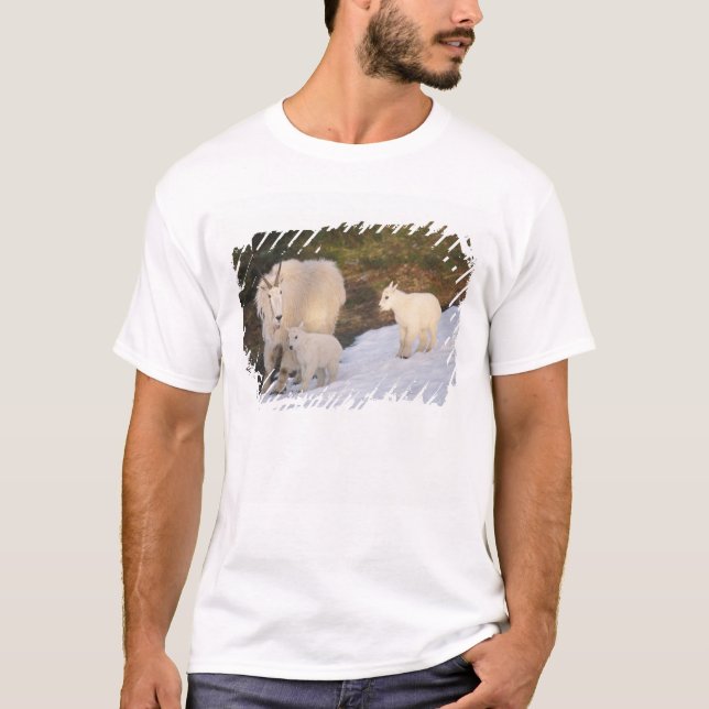 bergsgetter tee shirt (Framsida)