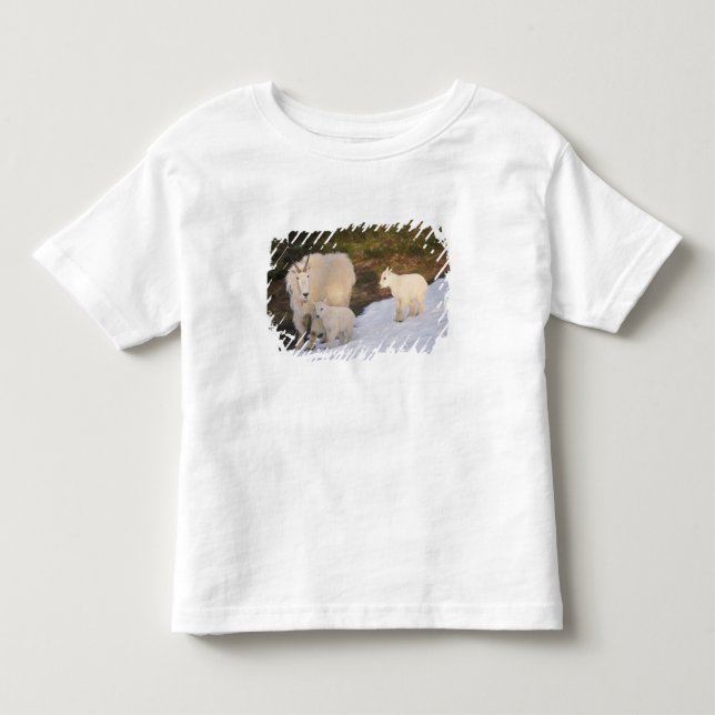 bergsgetter tee shirt (Framsida)