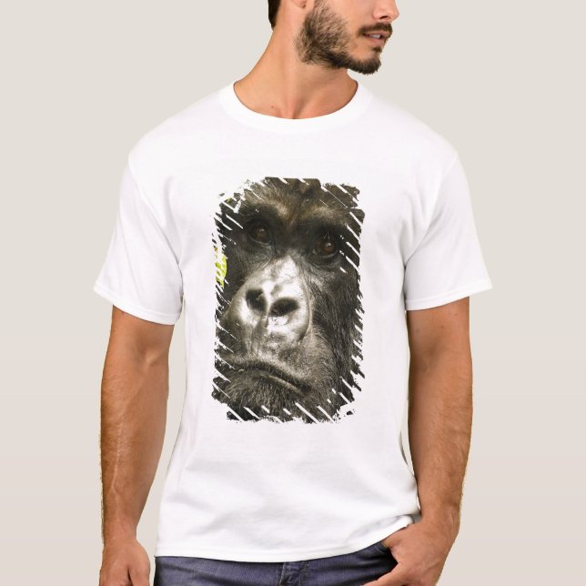 Bergsgorilla, Gorilla beringei beringei, T-shirt (Framsida)