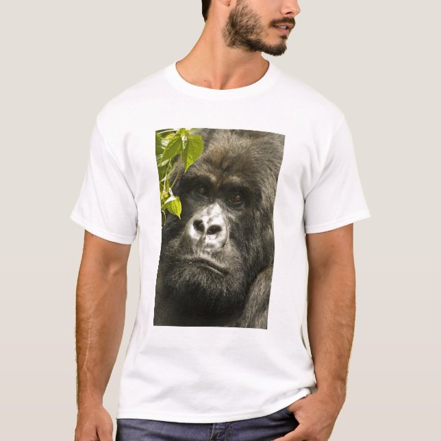 Bergsgorilla, Gorilla beringei beringei, Tee Shirt (Framsida)