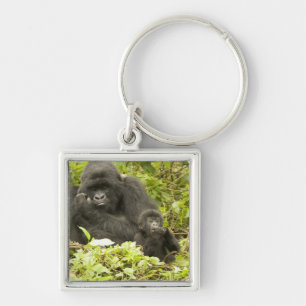 Bergsgorilla, Gorilla beringei (tidigare G. Fyrkantig Silverfärgad Nyckelring
