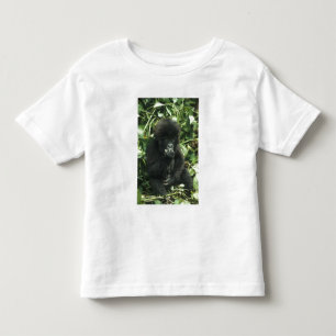 Bergsgorilla, (Gorilla gorilla beringei), T Shirt