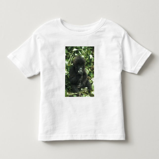 Bergsgorilla, (Gorilla gorilla beringei), T Shirt (Framsida)
