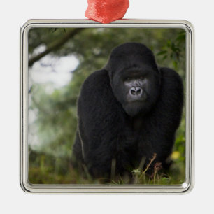 Bergsgorilla och Silverback Julgransprydnad Metall
