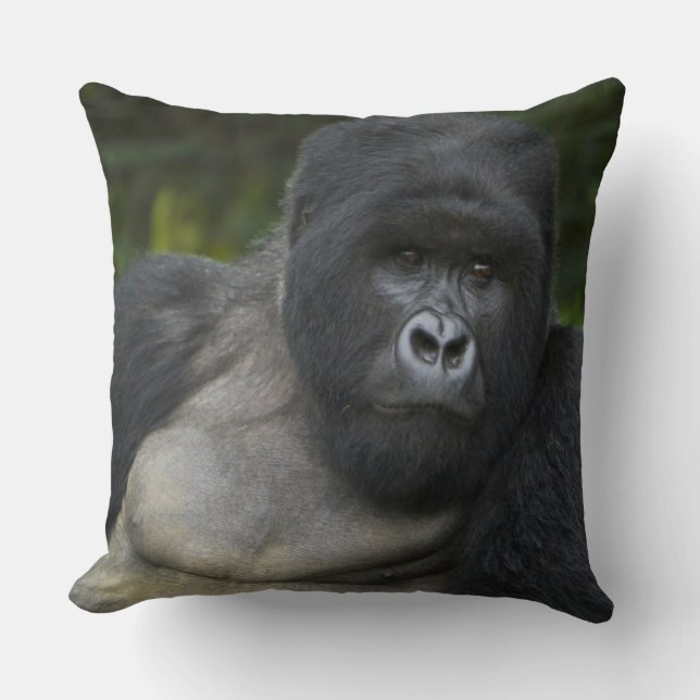 Bergsgorilla och Silverback Kudde (Framsida)