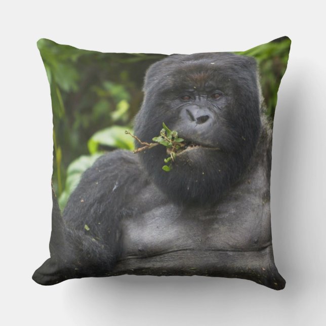 Bergsgorilla och Silverback Kudde (Framsida)