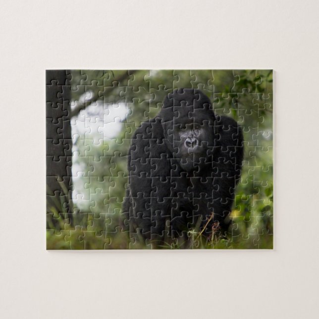 Bergsgorilla och Silverback Pussel (Horisontell)