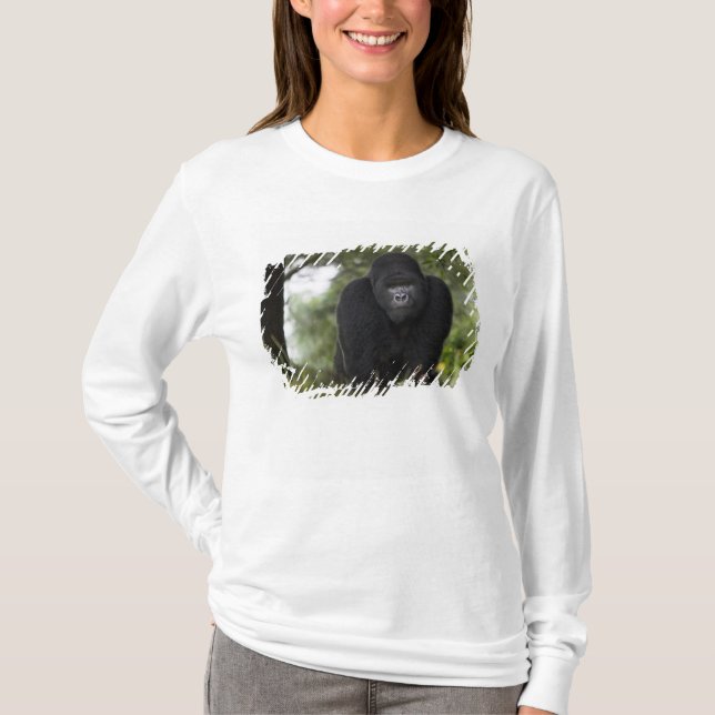 Bergsgorilla och Silverback Tee (Framsida)