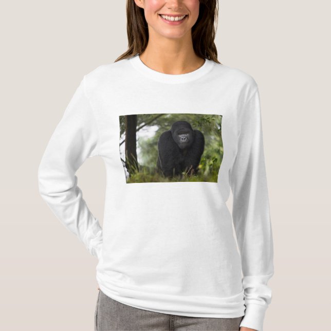 Bergsgorilla och Silverback Tee Shirt (Framsida)