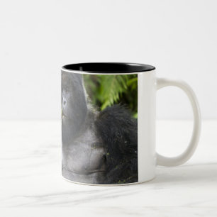 Bergsgorilla och Silverback Två-Tonad Mugg