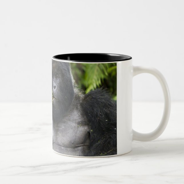 Bergsgorilla och Silverback Två-Tonad Mugg (Höger)