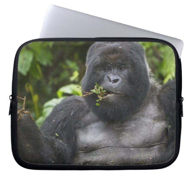 Bergsgorilla och silverbacke laptop sleeve (Framsidan)