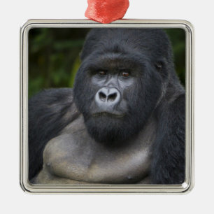 Bergsgorilla och silverrygg julgransprydnad metall