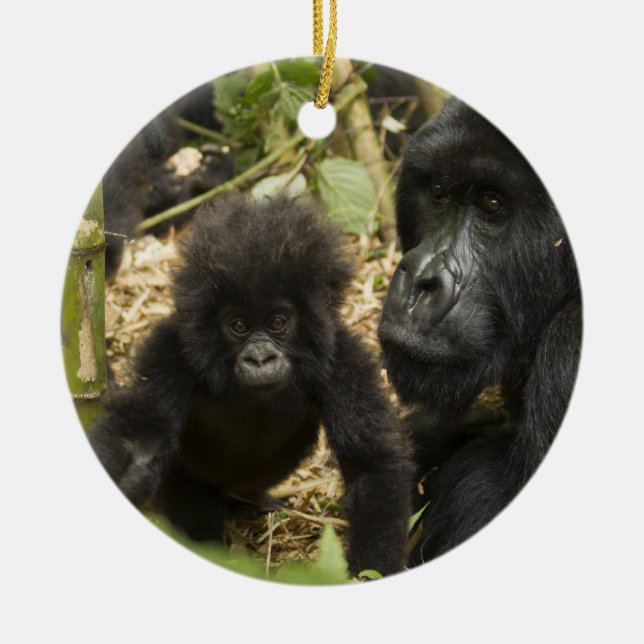 Bergsgorilla, vuxen med unge julgransprydnad keramik (Framsidan)