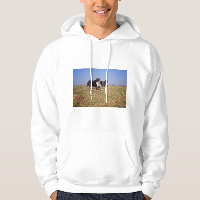 Bergsgrupp 2 i hund hoodie (Framsida)
