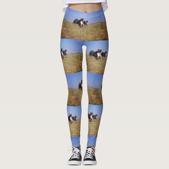 Bergsgrupp 2 i hund leggings (Framsida)