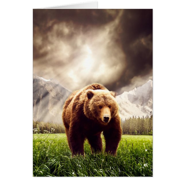 Bergskena OBS Kort (Framsidan)