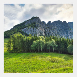 Bergskog med gräs i norra Italien